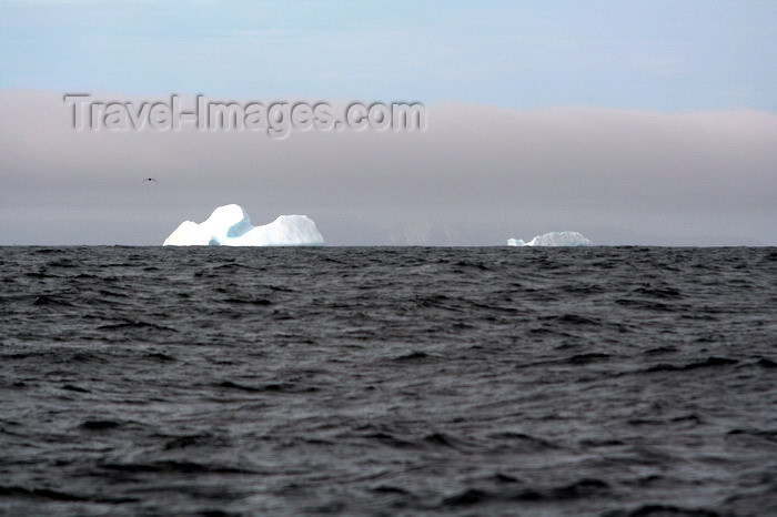 south-georgia178: South Georgia - icebergs - Antarctic region images by C.Breschi - (c) Travel-Images.com - Stock Photography agency - Image Bank