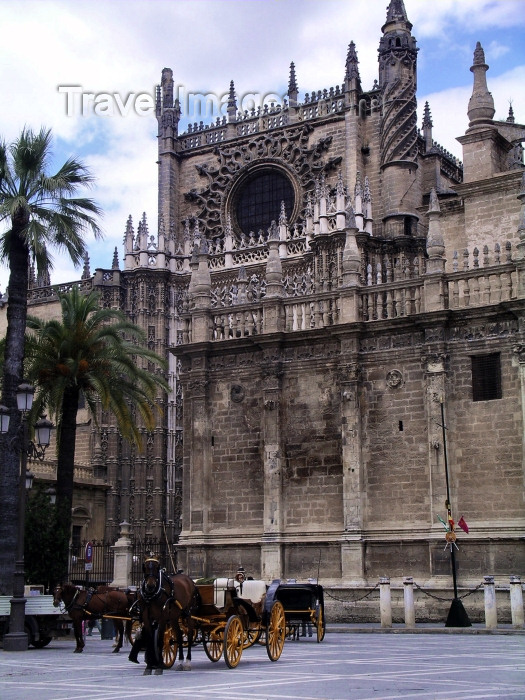 spai214: Spain / España - Sevilla: plaza by the Cathedral - photo by R.Wallace - (c) Travel-Images.com - Stock Photography agency - Image Bank
