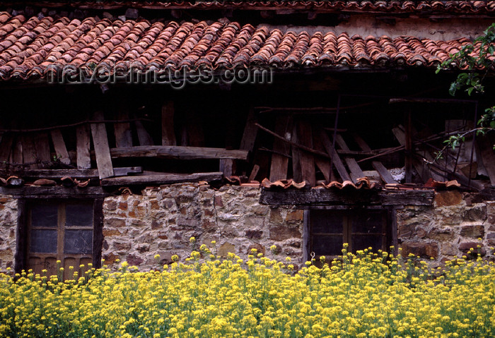spai413: Spain - Cantabria - Espinama - Picos de Europa National Reserve - ruined house and flowers - photo by F.Rigaud - (c) Travel-Images.com - Stock Photography agency - Image Bank