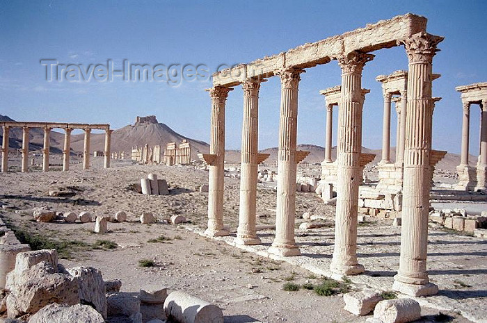syria40: Palmyra, Syria: looking west form the senate house - photo by J.Kaman - (c) Travel-Images.com - Stock Photography agency - Image Bank