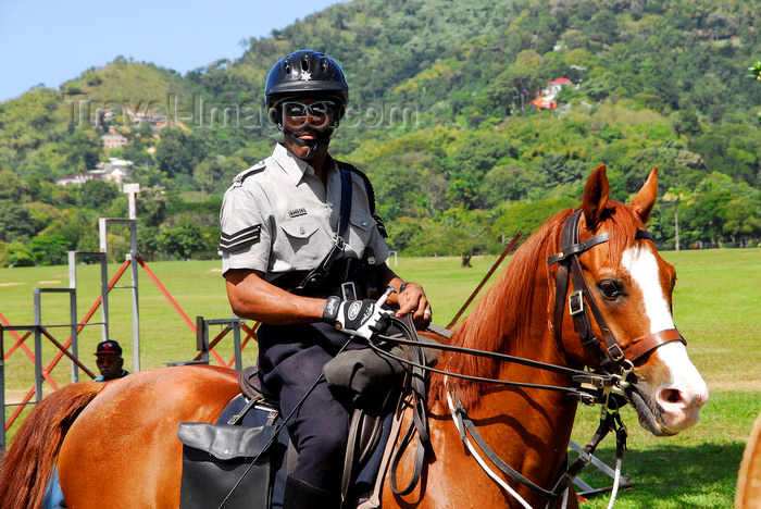 trinidad-tobago50: Port of Spain, Trinidad: mounted policeman - photo by E.Petitalot - (c) Travel-Images.com - Stock Photography agency - Image Bank