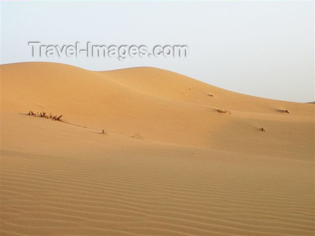 uaedb10: UAE - Dubai: desert dunes - photo by F.Hoskin - (c) Travel-Images.com - Stock Photography agency - Image Bank