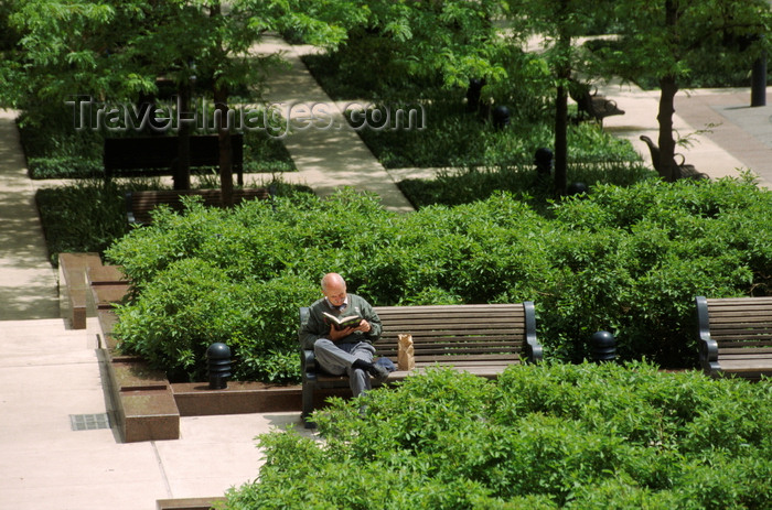 usa1072: Chicago, Illinois, USA: tranquility in the city - a gentleman enjoys reading his book in one of the many Chicago river front parks - photo by C.Lovell - (c) Travel-Images.com - Stock Photography agency - Image Bank