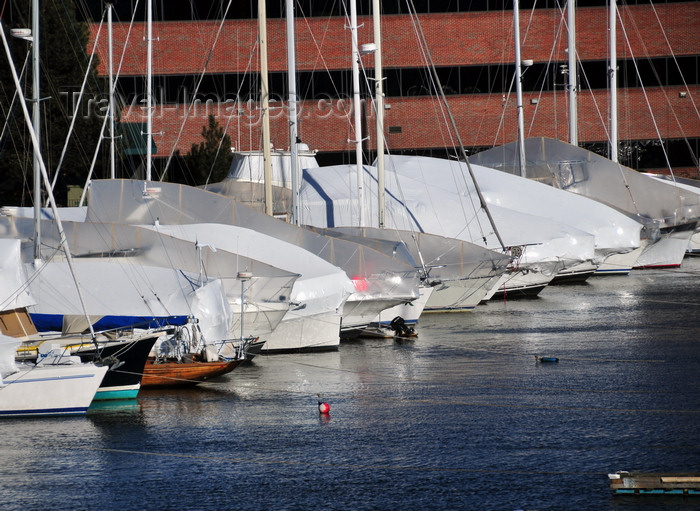 usa1142: Boston, Massachusetts, USA: Charlestown - Constitution Marina - yachts moored and covered for the winter - photo by M.Torres - (c) Travel-Images.com - Stock Photography agency - Image Bank