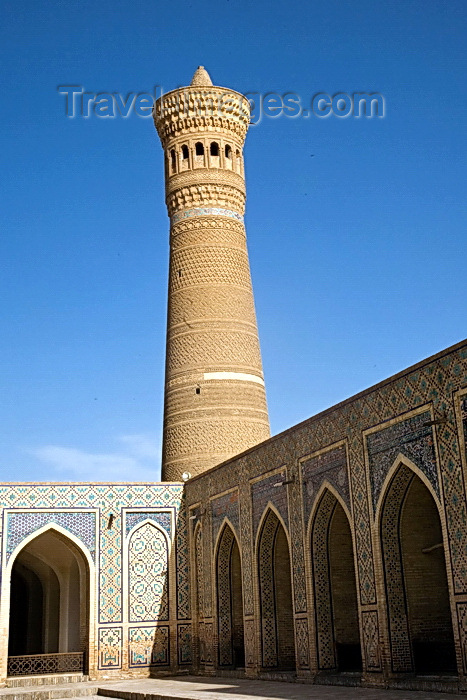 uzbekistan77: Kalon Mosque, Minaret, Bukhara, Uzbekistan - photo by A.Beaton  - (c) Travel-Images.com - Stock Photography agency - Image Bank