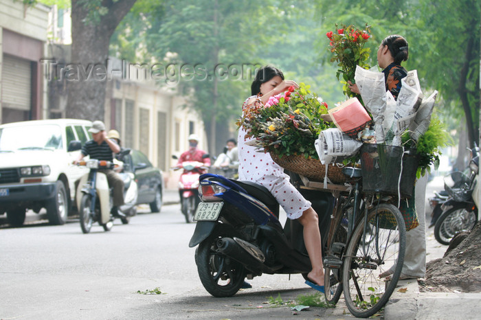 vietnam88: Hanoi - Vietnam - flower vendor on bike and client on a scooter - photo by Tran Thai - (c) Travel-Images.com - Stock Photography agency - Image Bank