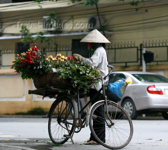 vietnam89: Hanoi - Vietnam - flower vendor on a bike - photo by Tran Thai - (c) Travel-Images.com - Stock Photography agency - Image Bank