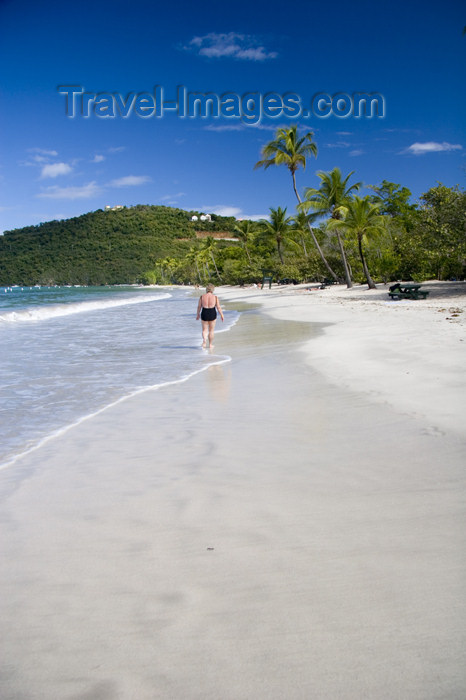 virgin-us44: US Virgin Islands - St. Thomas - Magens Bay: beach - white sand and coconut trees (photo by David Smith) - (c) Travel-Images.com - Stock Photography agency - Image Bank