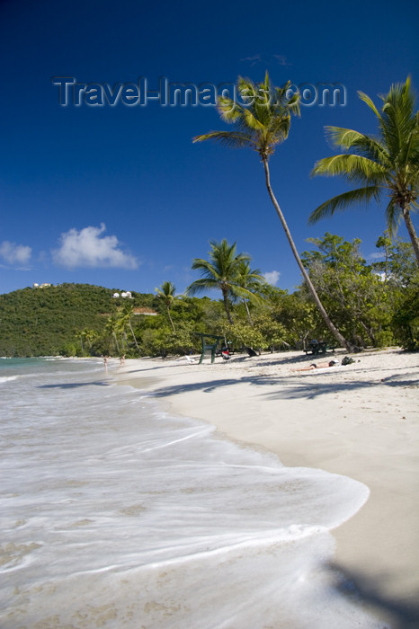 virgin-us47: US Virgin Islands - St. Thomas - Magens Bay: beach - white sand and coconut trees (photo by David Smith) - (c) Travel-Images.com - Stock Photography agency - Image Bank