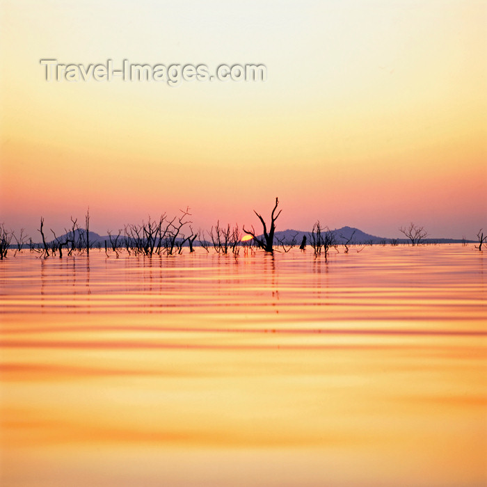 zimbabwe15: Zimbabwe - Lake Kariba, Mashonaland West province: sunset and dead forest - reservoir located on the Zambezi river - photo by W.Allgower - (c) Travel-Images.com - Stock Photography agency - Image Bank