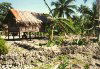 Papua New Guinea - Panaete Island - Louisiade Archipelago: village gardens (photo by G.Frysinger)