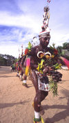 PNG - Papua New Guinea - Row of colorful dancers, Tuam Island - photo by B.Cain