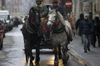 Poland - Krakow: horses and carriage in Rynek - photo by M.Gunselman