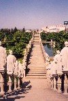 Castelo Branco: escadas - reis - jardim do Palcio Episcopal - photo by M.Durruti