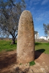 Portugal - Almendres - Guadalupe, Concelho de vora: lone menhir in the olive fields - prehistoric megalithic structure / menir no olival - photo by M.Durruti