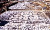 Portugal - Algarve - Vilamoura (concelho de Loul): Cerro da vila Roman site - mosaic floors - photo by T.Purbrook