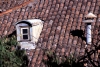 Portugal - Lisbon: velho telhado / old roof - Alfama - photo by F.Rigaud