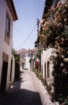 Portugal - Ourm: viela com rosas - vila velha / Ourm: alley with roses - photo by M.Durruti