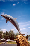 Portugal - Setubal: dolphins can fly / golfinho - roaz corvineiro - na avenida Luiza Tody - photo by M.Durruti