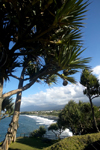 Runion - Pointe Bourbier: looking down - pandanus - photo by Y.Guichaoua