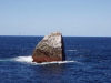Rockall island: birds and guano - North Atlantic ocean, in the UK EEZ, for the UK part of Inverness-shire, Scotland - photo by Anilocra