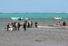Anse Mourouk, Rodrigues island, Mauritius: fishermen load the nets into their boats - photo by M.Torres
