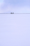 Lake Baikal, Irkutsk oblast, Siberian Federal District, Russia: three people on the horizon - Buryats on the frozen lake surface - winter scene - UNESCO World Heritage site - photo by B.Cain