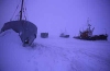 Russia - Khatanga (Taymyria autonomous okrug of Krasnoyarsk Krai / Dolgan-Nenets Autonomous District - Siberia FD): ships frozen in the Tamyr River (photo by E.Philips)