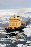 Russia - Bering Strait (Chukotka AOk): icebreaker - Kapitan Khlebnikov in the ice of the Chukchi Sea, Arctic Ocean - Isbryder / Eisbrecher / Rompighiaccio / IJsbreker / Jnmurtaja / Isbrytare - photo by R.Eime