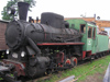 Russia - Pereslavl-Zalessky area: rusting steam locomotive - narrow gauge railway open-air museum - train - photo by J.Kaman