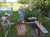 Russia - Ljadiny - Arkhangelsk Oblast: church cemetery - Soviet grave - photo by J.Kaman