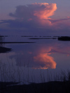 Russia - Arkhangelsk Oblast: evening clouds - reflection on the White Sea - photo by J.Kaman