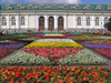 Russia - Moscow: Alexandrovsky Garden - flowers - photo by J.Kaman