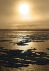 Russia - Wrangel Island / ostrov Vrangelya (Chukotka AOk): sunset - Chukchi Sea - UNESCO World Heritage Site (photo by R.Eime)