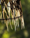 South Africa - Porcupine quill lamp shade, Singita Game Reserve lodge - photo by B.Cain