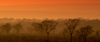 South Africa - Sunrise on savannah panorama - photo by B.Cain
