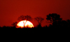 South Africa - Sunset and Trees, Singita - photo by B.Cain