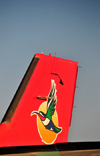 Johannesburg, Gauteng, South Africa: aircraft tail - bird and sun - South African Airlink - British Aerospace Jetstream 41 ZS-NRJ (cn 41062)  - OR Tambo International / Johannesburg International Airport / Jan Smuts / JNB - Kempton Park, Ekurhuleni - photo by M.Torres