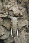South Africa - Sun City: Elephant relief motif - photo by R.Eime