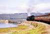 South Africa - Knysna: Garden route by steam train - Outeniekwa choo choo entering a bridge - photo by J.Stroh