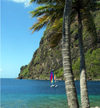 St Lucia: La Soufrire - palms and the eastern Caribbean Sea - photo by P.Baldwin