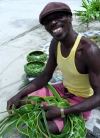 St Vincent and the Grenadines - Bequia island (Grenadines): David, the weaver (photographer: P.Baldwin)