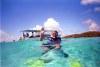 Mayreau island (Grenadines): snorkeling (photographer: R.Ziff)