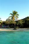 Tobago cays: palm on the beach (photographer: Pamala Baldwin)