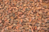 gua Iz plantation / roa  gua Iz, Cantagalo district, So Tom and Prcipe / STP: cocoa beans before roasting / gros de cacau antes da torrefaco - photo by M.Torres