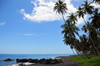 Esprainha, Lemb district, So Tom and Prncipe / STP: coconut-tree lined coast / costa e coqueiros - photo by M.Torres