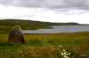 Scotland - Islay Island - Loch Finlaggan: view of an ancient standing stone, one of many found on Islay - photo by C.McEachern
