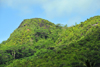 Mahe, Seychelles: Anse  la Mouche - hills covered in dense forest - photo by M.Torres
