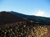 Sicily / Sicilia - Etna: pioneer vegetation on a lava field (photo by *ve)