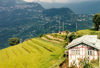 Sikkim - near Gangtok: house over terraced rice fields - photo by G.Frysinger